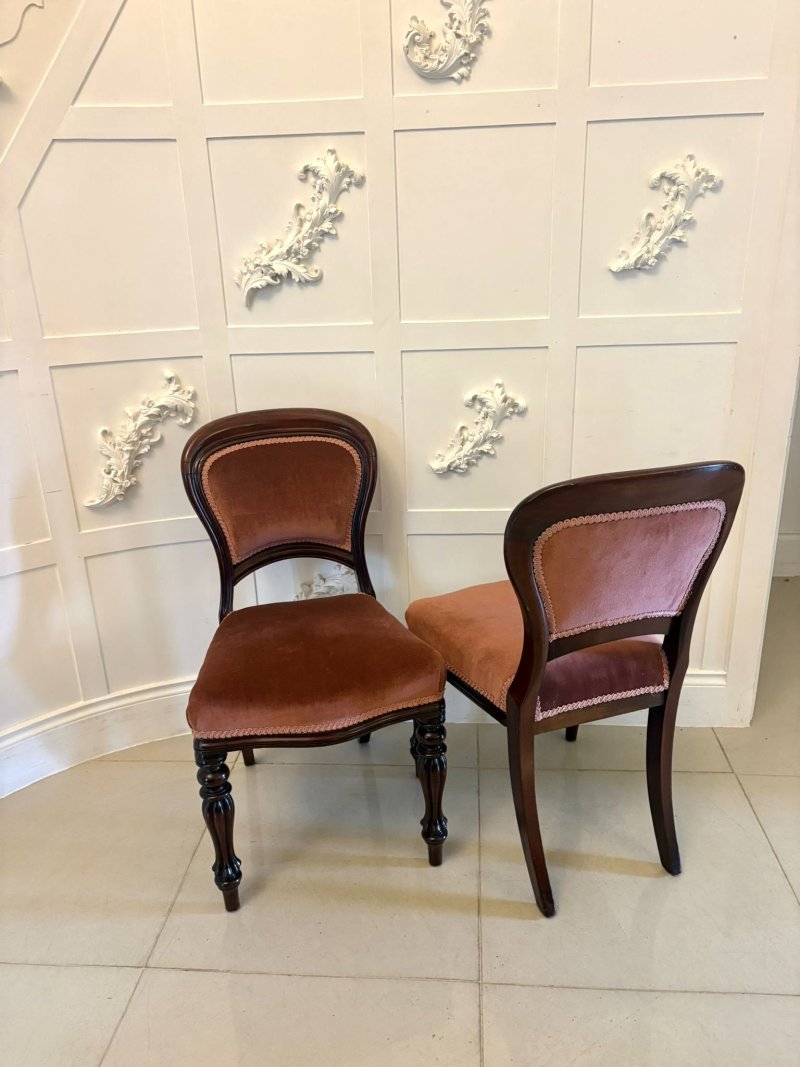 Antique Victorian Set of 6 Mahogany Dining Chairs with Tulip Legs - Image 2